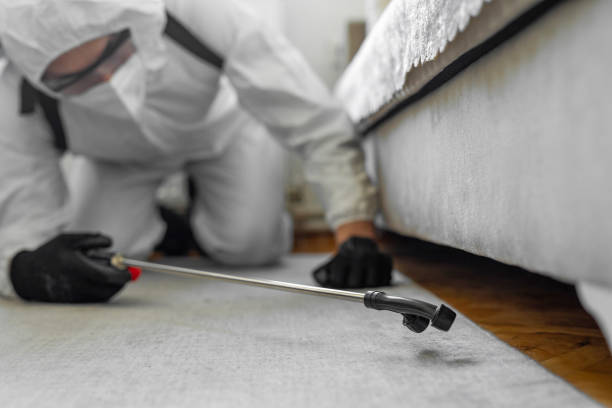 Professional Termite Control technician working in Blue Mound, TX