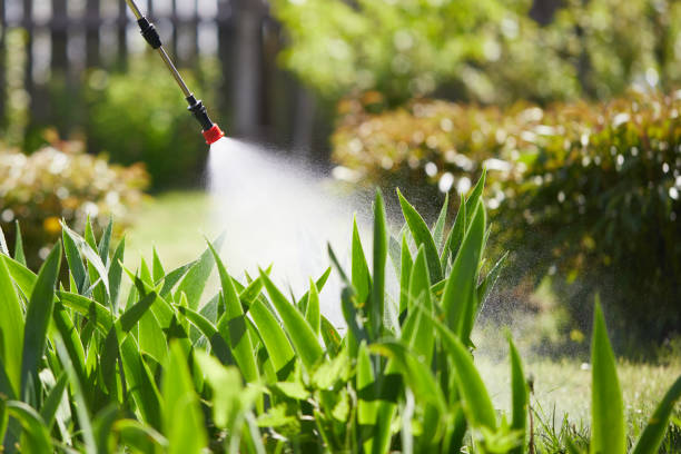 24/7 Emergency Termite Control experts in Blue Mound, TX