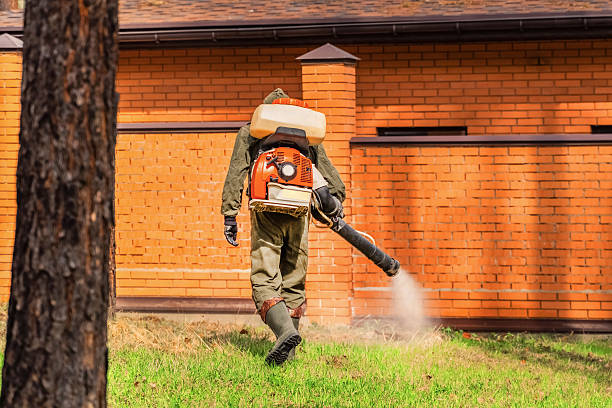 Trusted Fumigation Services service in Blue Mound, TX - Nex Pest Control